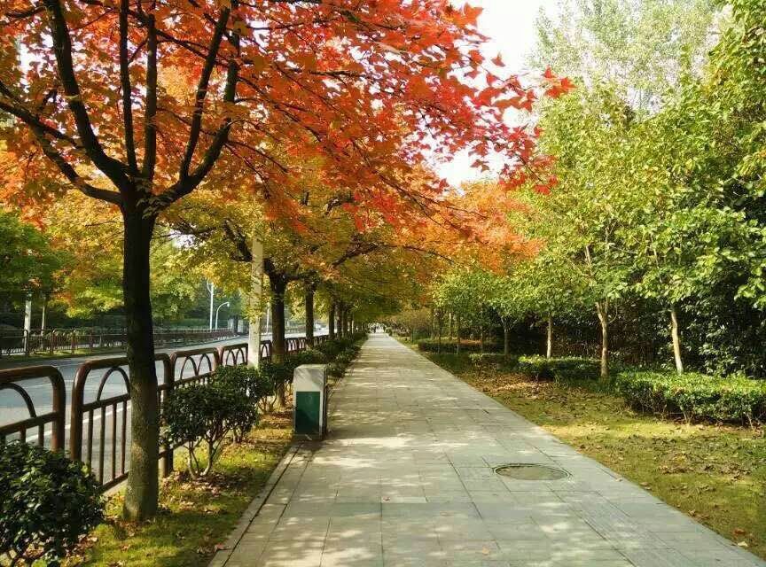 沿途风景